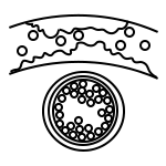 Defibrillators can save lives